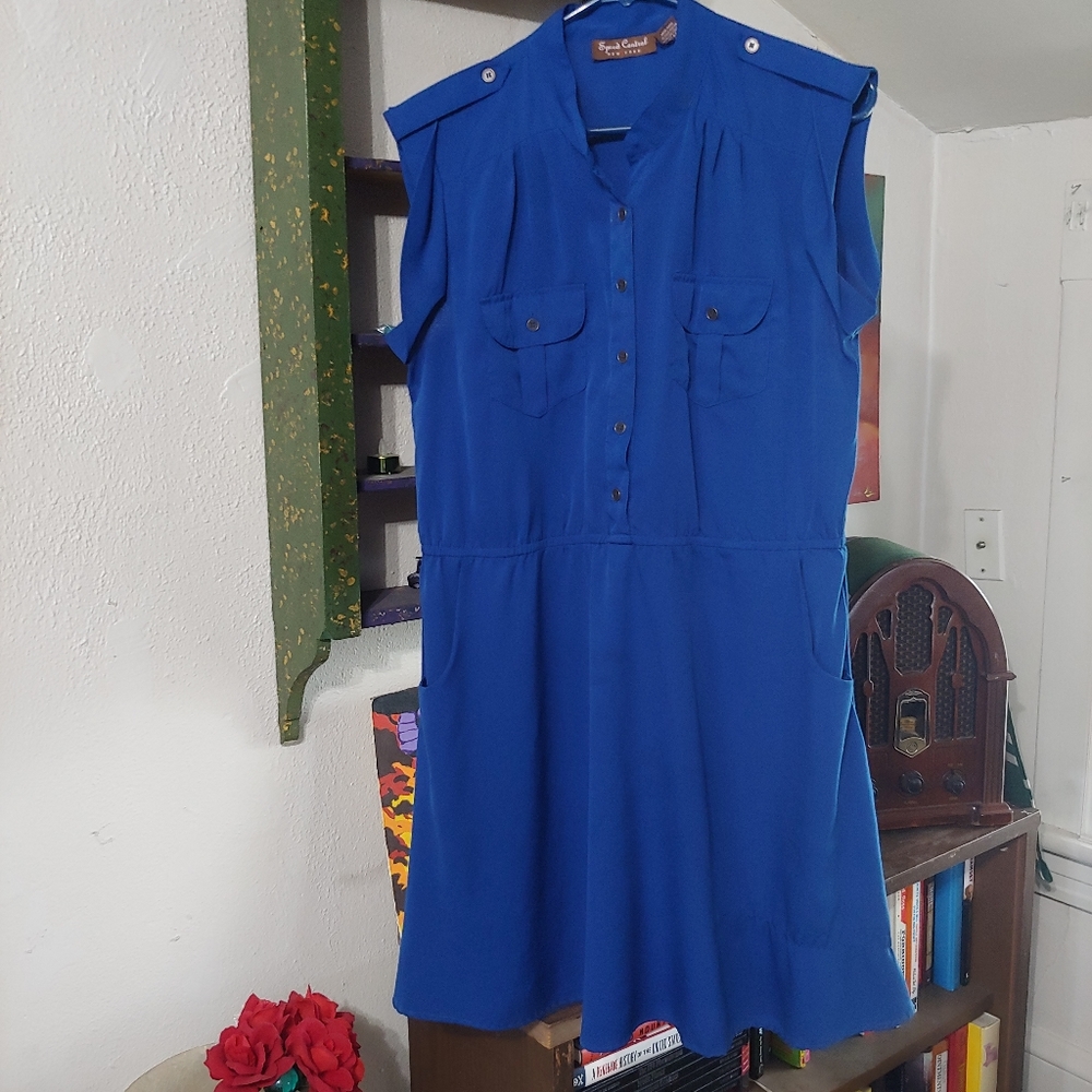 Pinup Style Dress